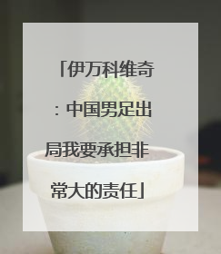 伊万科维奇：中国男足出局我要承担非常大的责任