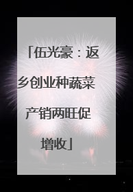 伍光豪：返乡创业种蔬菜 产销两旺促增收