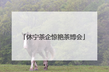 休宁茶企惊艳茶博会