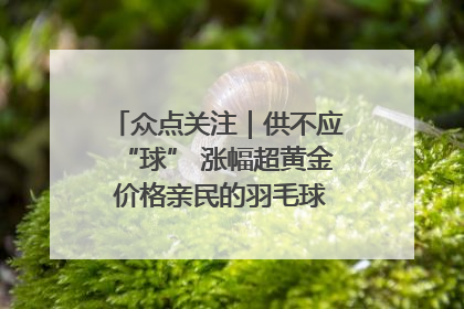 众点关注｜供不应“球” 涨幅超黄金 价格亲民的羽毛球为何身价飞涨？