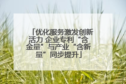 优化服务激发创新活力 企业专利“含金量”与产业“含新量”同步提升