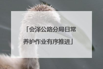 会泽公路分局日常养护作业有序推进