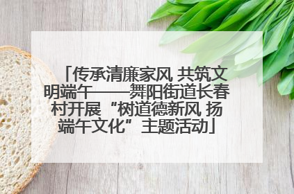 传承清廉家风 共筑文明端午——舞阳街道长春村开展“树道德新风 扬端午文化”主题活动