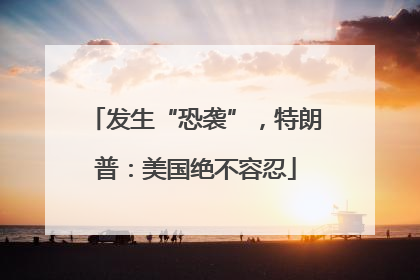 发生“恐袭”，特朗普：美国绝不容忍