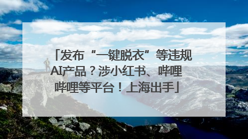发布“一键脱衣”等违规AI产品？涉小红书、哔哩哔哩等平台！上海出手