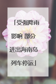 受强降雨影响 部分进出海南岛列车停运