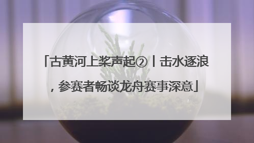 古黄河上桨声起②丨击水逐浪，参赛者畅谈龙舟赛事深意