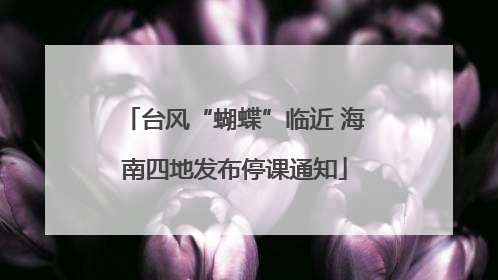 台风“蝴蝶”临近 海南四地发布停课通知