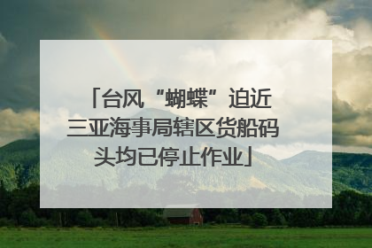 台风“蝴蝶”迫近 三亚海事局辖区货船码头均已停止作业