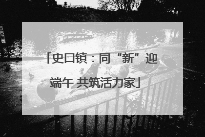 史口镇：同“新”迎端午 共筑活力家