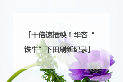 十倍速插秧！华容“铁牛”下田刷新纪录