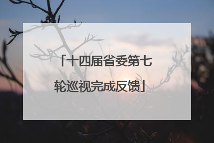 十四届省委第七轮巡视完成反馈