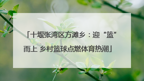 十堰张湾区方滩乡：迎“篮”而上 乡村篮球点燃体育热潮