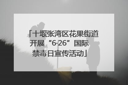 十堰张湾区花果街道开展“6·26”国际禁毒日宣传活动