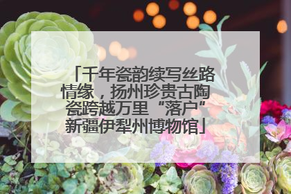 千年瓷韵续写丝路情缘，扬州珍贵古陶瓷跨越万里“落户”新疆伊犁州博物馆