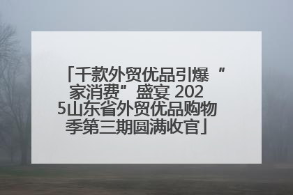 千款外贸优品引爆“家消费”盛宴 2025山东省外贸优品购物季第三期圆满收官