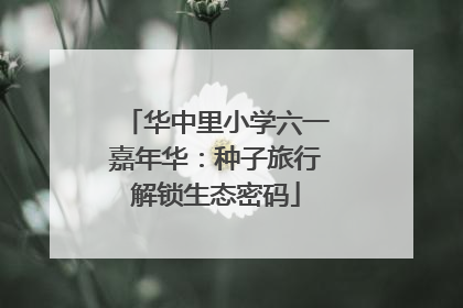 华中里小学六一嘉年华：种子旅行解锁生态密码