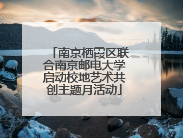 南京栖霞区联合南京邮电大学启动校地艺术共创主题月活动