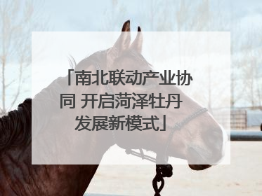 南北联动产业协同 开启菏泽牡丹发展新模式