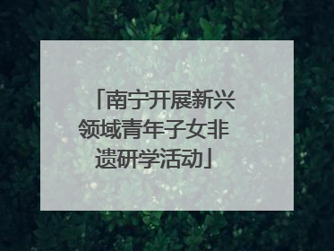 南宁开展新兴领域青年子女非遗研学活动