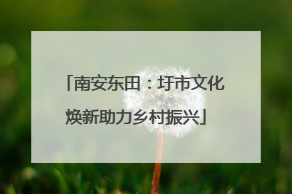 南安东田：圩市文化焕新助力乡村振兴