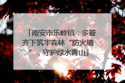 南安市乐峰镇：多管齐下筑牢森林“防火墙”，守护绿水青山