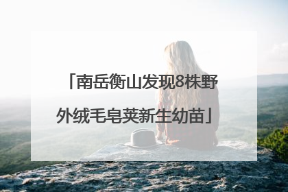 南岳衡山发现8株野外绒毛皂荚新生幼苗