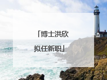 博士洪欣拟任新职