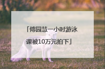 傅园慧一小时游泳课被10万元拍下