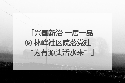 兴国新治·一居一品⑨ 林峰社区院落党建“为有源头活水来”