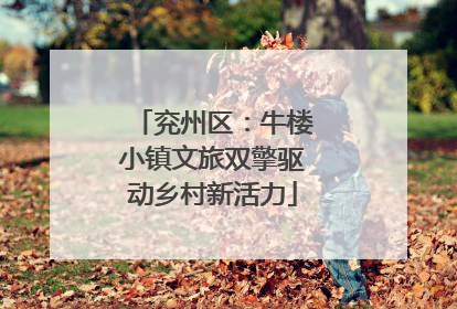 兖州区：牛楼小镇文旅双擎驱动乡村新活力