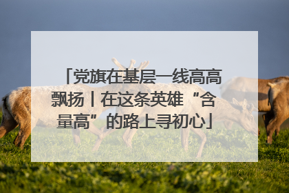 党旗在基层一线高高飘扬丨在这条英雄“含量高”的路上寻初心