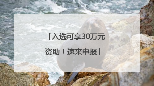 入选可享30万元资助！速来申报