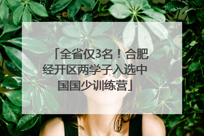 全省仅3名！合肥经开区两学子入选中国国少训练营