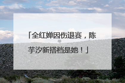 全红婵因伤退赛，陈芋汐新搭档是她！