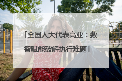 全国人大代表高亚：数智赋能破解执行难题