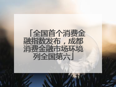 全国首个消费金融指数发布，成都消费金融市场环境列全国第六