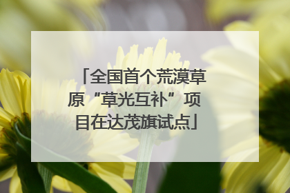 全国首个荒漠草原“草光互补”项目在达茂旗试点