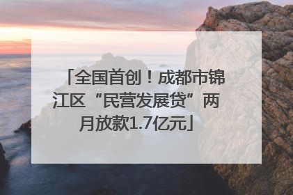 全国首创！成都市锦江区“民营发展贷”两月放款1.7亿元