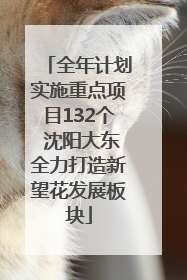 全年计划实施重点项目132个 沈阳大东全力打造新望花发展板块