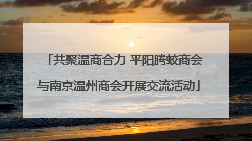共聚温商合力 平阳腾蛟商会与南京温州商会开展交流活动