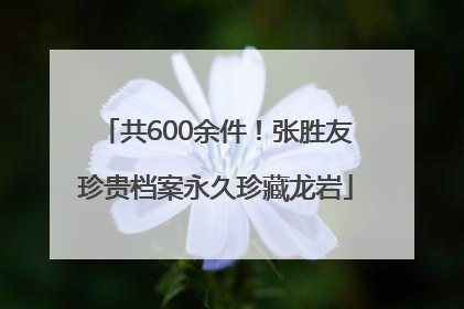 共600余件！张胜友珍贵档案永久珍藏龙岩