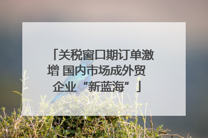 关税窗口期订单激增 国内市场成外贸企业“新蓝海”