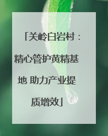 关岭白岩村：精心管护黄精基地 助力产业提质增效