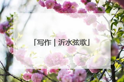 写作｜沂水弦歌