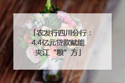 农发行四川分行：4.4亿元贷款赋能夹江“粮”方