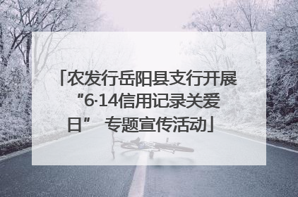 农发行岳阳县支行开展“6·14信用记录关爱日” 专题宣传活动
