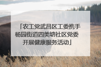 农工党武昌区工委携手杨园街道四美塘社区党委开展健康服务活动