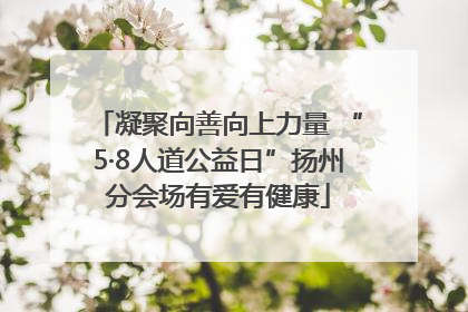 凝聚向善向上力量 “5·8人道公益日”扬州分会场有爱有健康