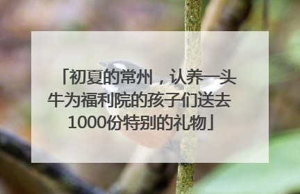 初夏的常州，认养一头牛为福利院的孩子们送去1000份特别的礼物